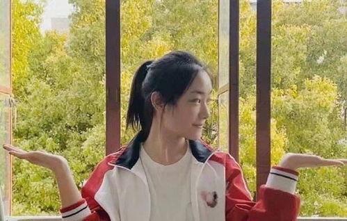 孙莉妹妹爆料事件视频大全,揭秘背后真相与争议